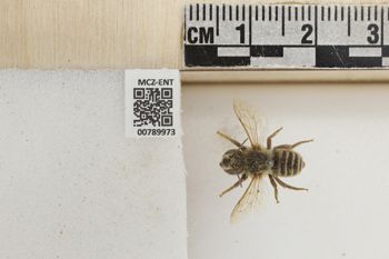 Media type: image;   Entomology 789973 Aspect: Labels